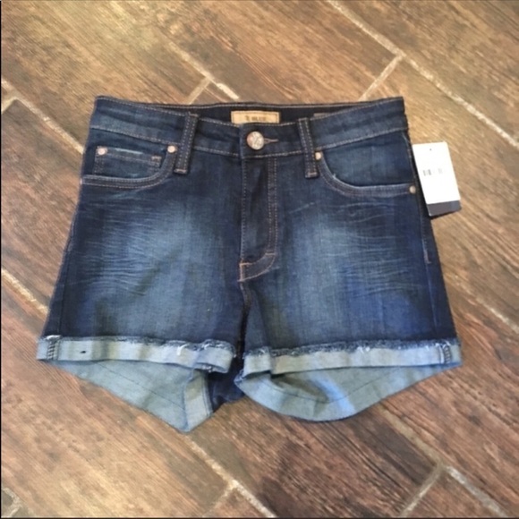 STS BLUE (Nordstrom) High-waist Denim Shorts size 1 New with tags - Picture 4 of 6